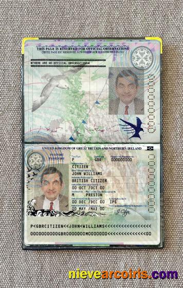 United Kingdom of Great Britain and Northern Ireland passport (2010-2015) photolook